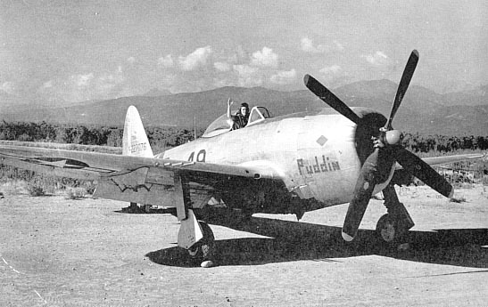 P47 Fighter Aircraft